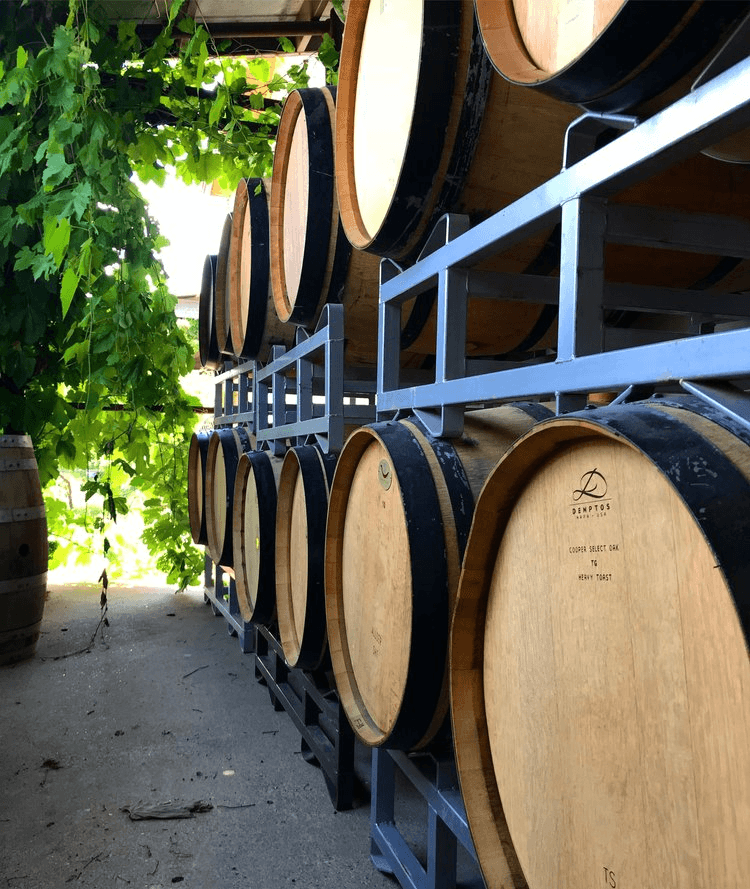 Wine Tour Experience 3