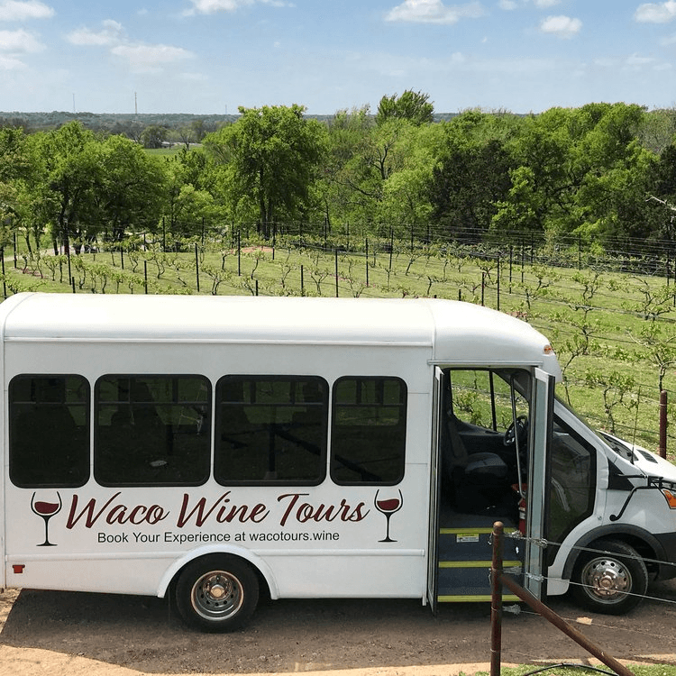 Wine Tour Experience 7